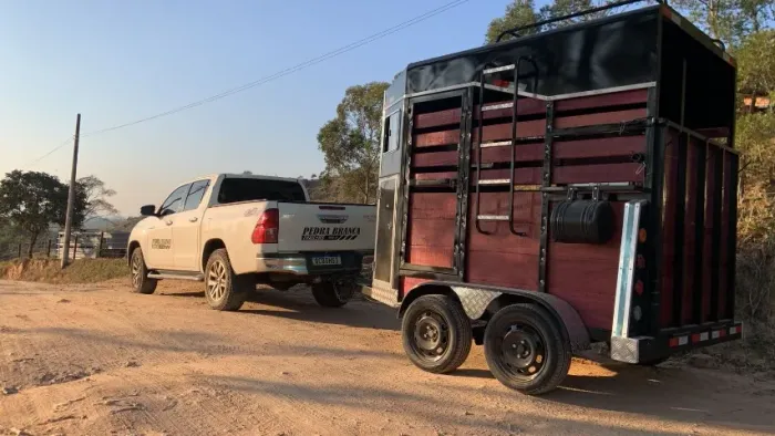 Trailer 2 Cavalos - Zero Pronta Entrega Itatiba SP  Br