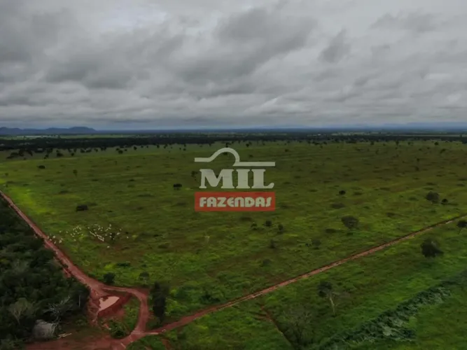 Fazenda 192 alqueires ( 929 hectares ) Porangatu - GO