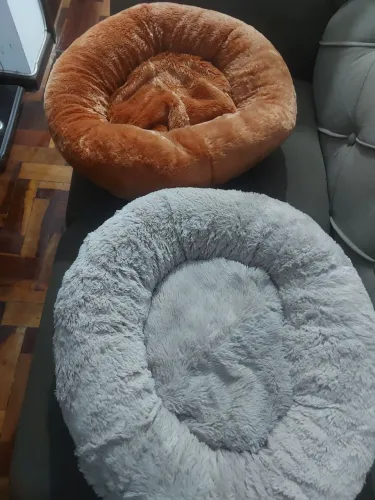 Caminhas para pet