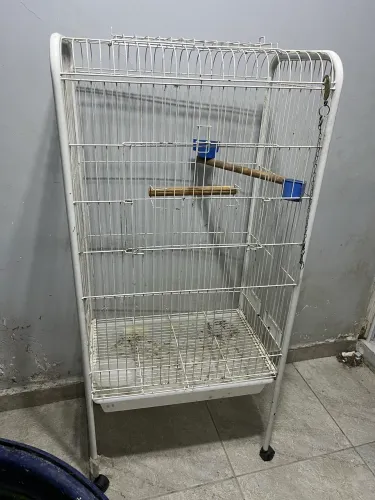 Gaiola grande semi nova para papagaio