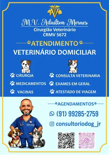 Atendimento domiciliar/ cirurgia em cães e gatos 