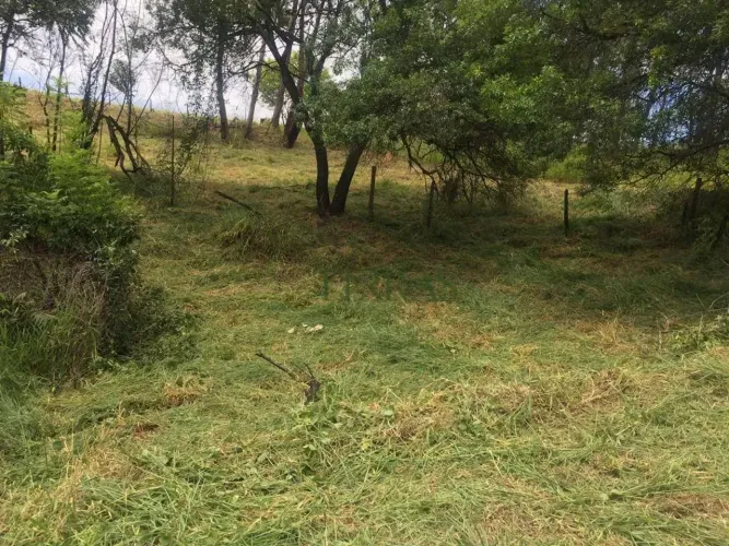Terreno à venda, 972 m² por R$ 200.000,00 - Zona Rural - Itu/SP