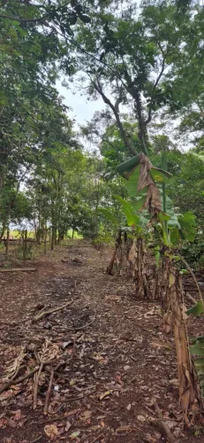Terreno fundo com rio Paraná