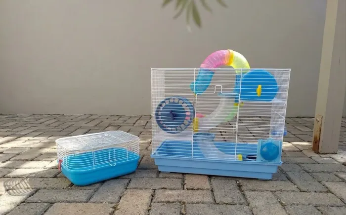 Gaiola completa para hamsters