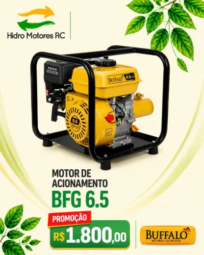 Motor de acionamento
