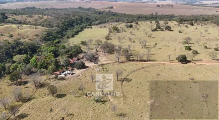 Fazenda a venda em Bela Vista-GO
