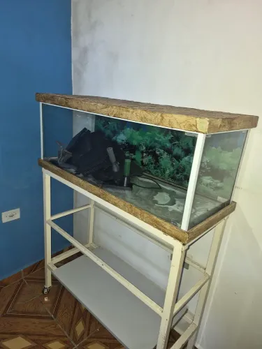 Aquário 