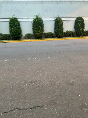 Foto ilustrativa, vendo meio terreno .