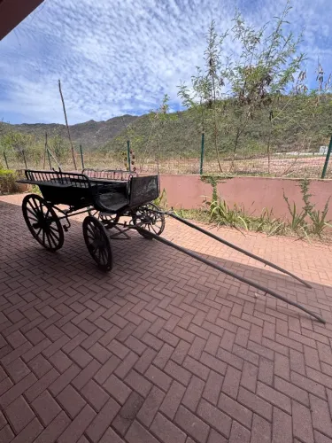 Carruagem antiga americana