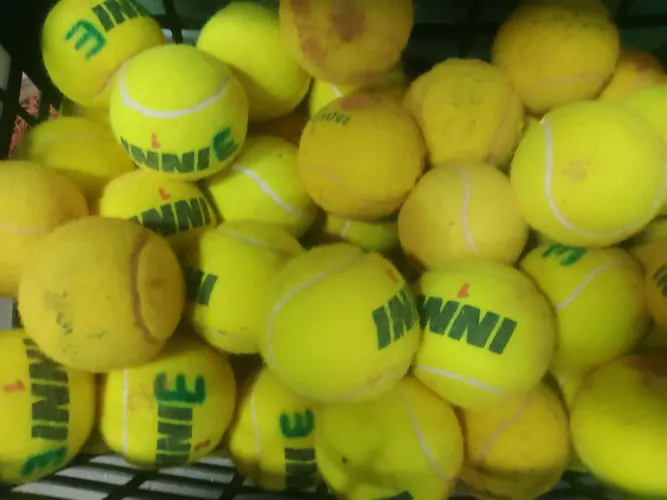 Bollas