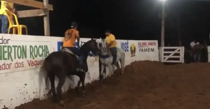 Vendo égua de esteira