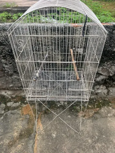 Gaiola de Ferro P/ Pássaro 