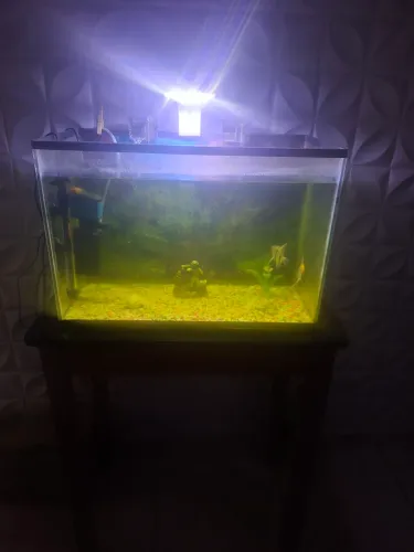 Aquario 50 litro completo