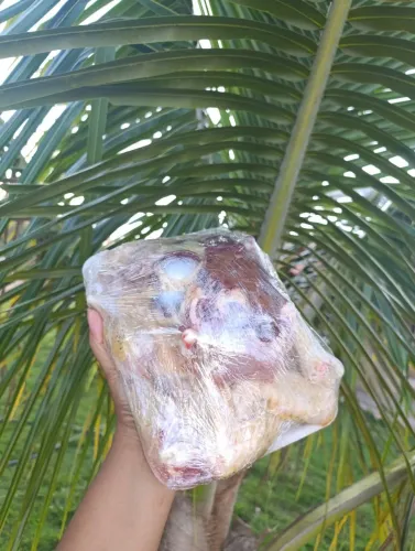 Frango caipira