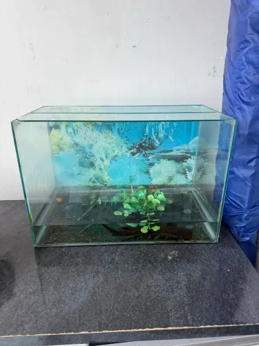 aquário 30 litros, 40x25x30 cm, vidro 4mm