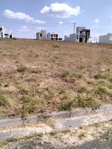 Lote / Terreno em NOVA ESPERANÇA - Feira de Santana