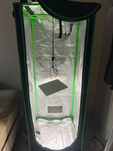 Grow Estufa kit de cultivo