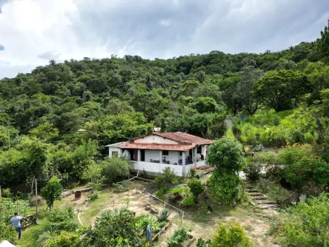 Oportunidade em Ravena: O Refúgio de Vó com Pomar Completo a 25 km de BH!