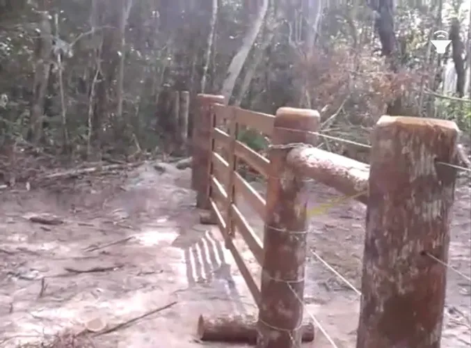 Fazenda de 1500 hectares em Roraima