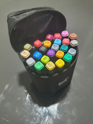 Canetinhas Touch 24 Cores + Estojo Original | Ótimo Estado