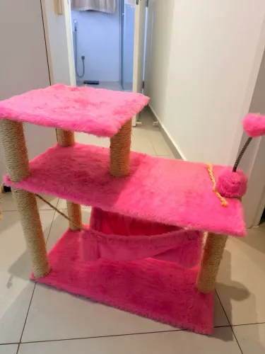 Arranhador de gato