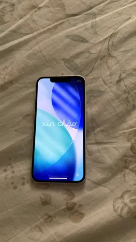 iPhone 13 mini