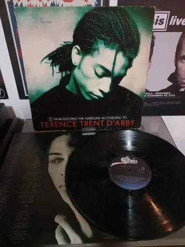 Vinil