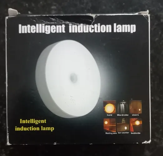 Lâmpada Indução inteligente automatica