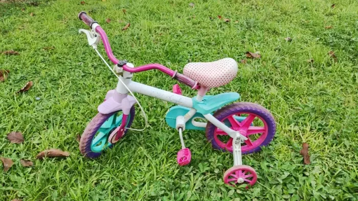 Bicicleta Caloi Cecizinha aro 12 