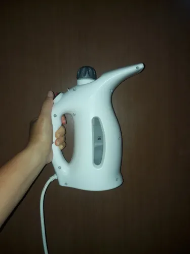 Ferro à vapor 