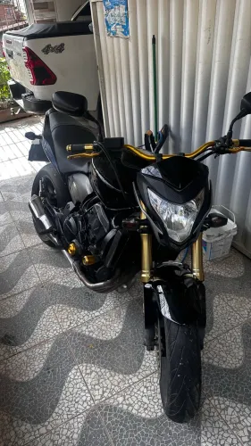 Hornet 2013