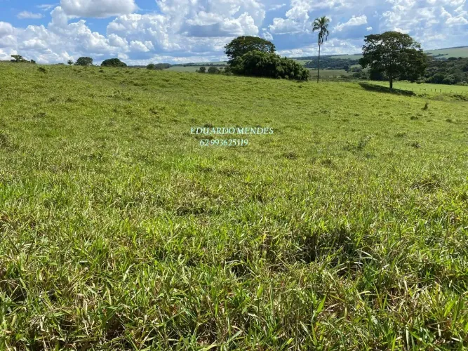 Terra com 1.1/2 alqueires, formados, C/ água , 7 km do posto positivo , Gameleira de Goiás