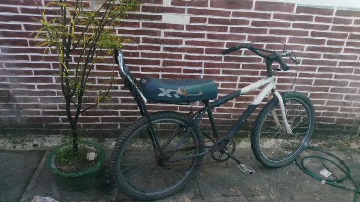 Bicicleta montadinha 