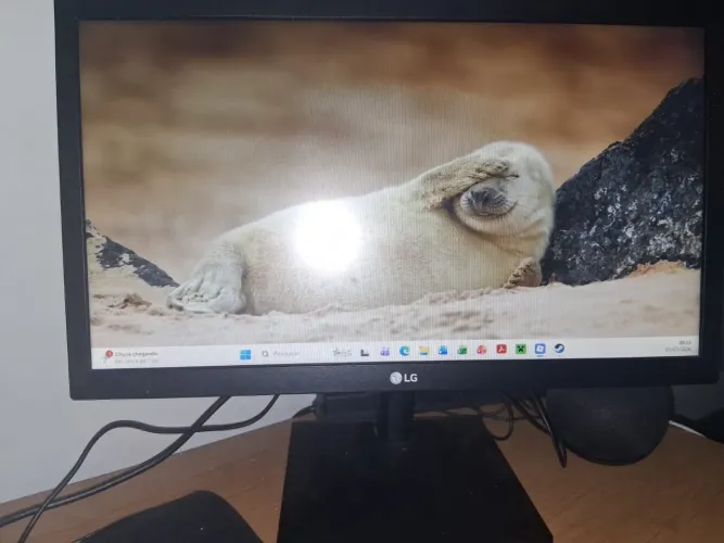 Monitor LG 19,5? 75hz