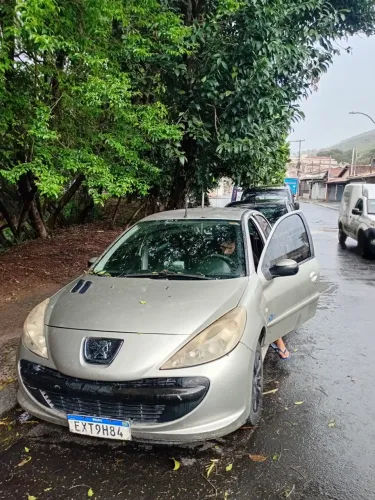 Peugeot 207 XR 1.4 Flex 8V 5P 2012