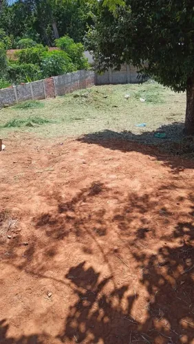 Jardim Europa