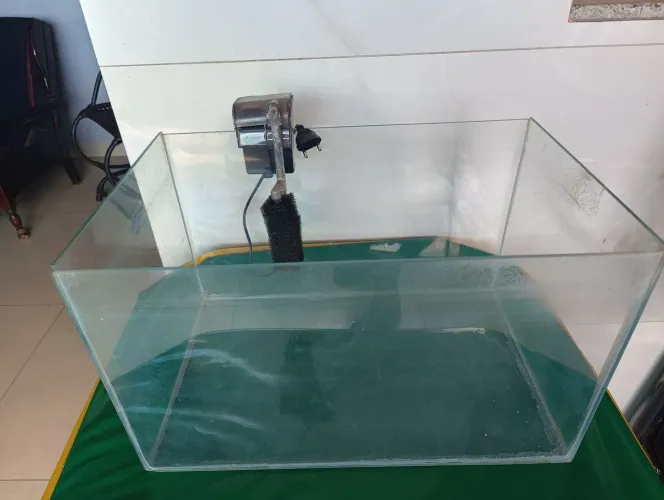 Oportunidade única/Vendo urgente - Aquário 40 litros