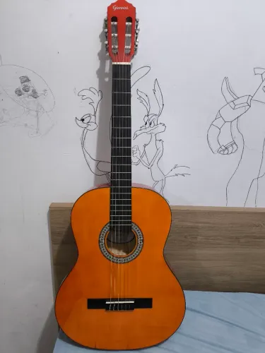 Violão Giannini 