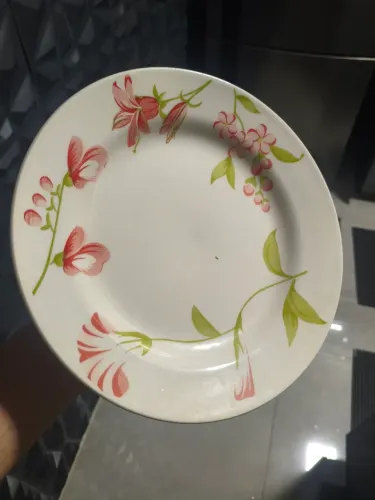 Pratos decorados