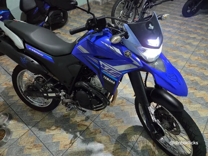 Vendo Lander 2022