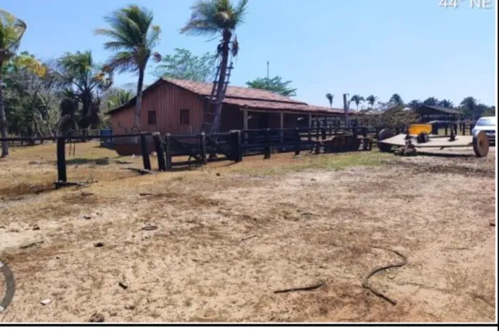 Arrendamento de fazenda para pecuária