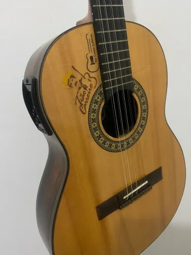 Viola caipira
