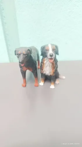 Cachorro de enfeites