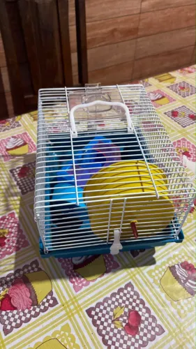 Vende-se 2 gaiolas de Hamster por 60,00