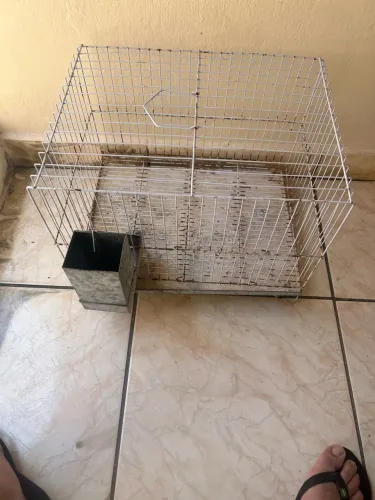 Vendo gaiola de porquinho da índia 