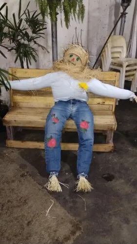 Vendo Espantalho caipira 