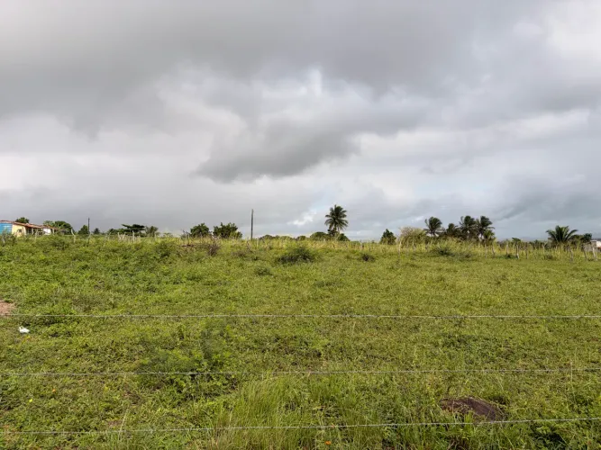 Vendo tarefa no povoado Serra em Itabaiana