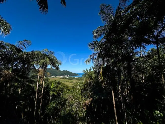 Terreno para Venda em Florianópolis, Pântano do Sul
