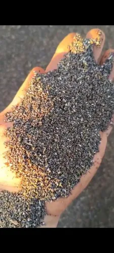 Vendo chia