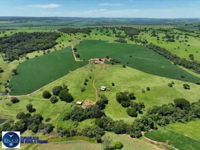 Fazenda à Venda em Caiapônia/GO 33,8 Alqueires | Soja + Pecuária